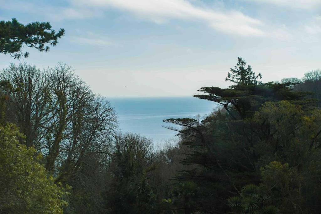 Beautiful Beach Side Apartment Torquay Dış mekan fotoğraf